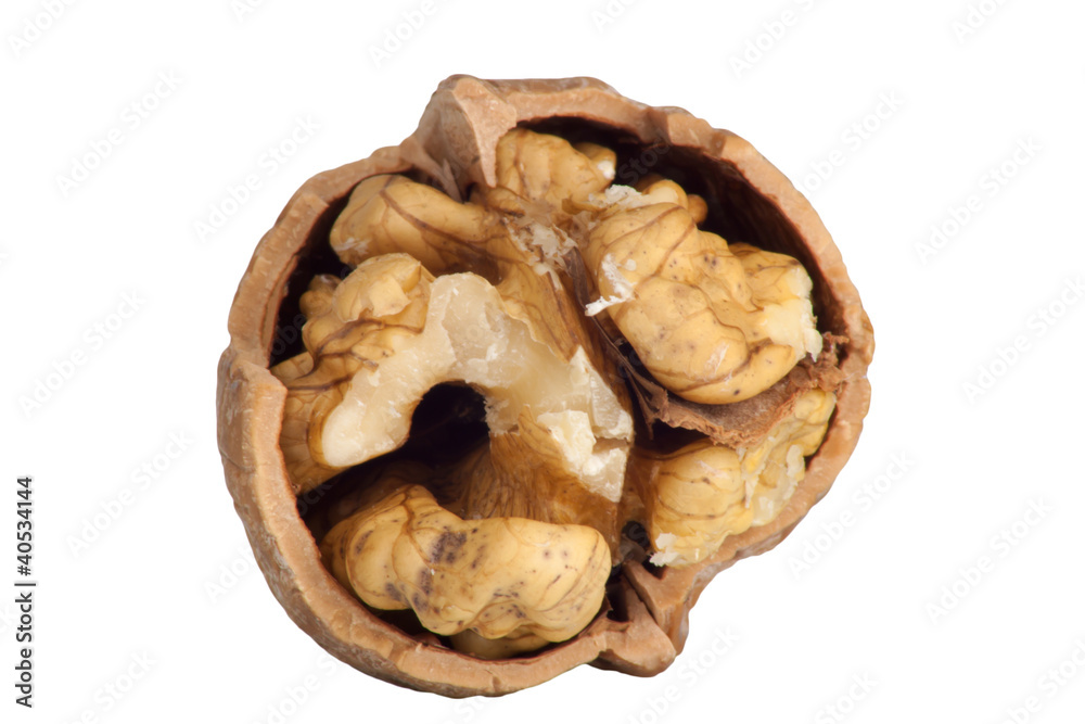 close-up of a walnut isolated on white background close-up of a walnut isolated on white background