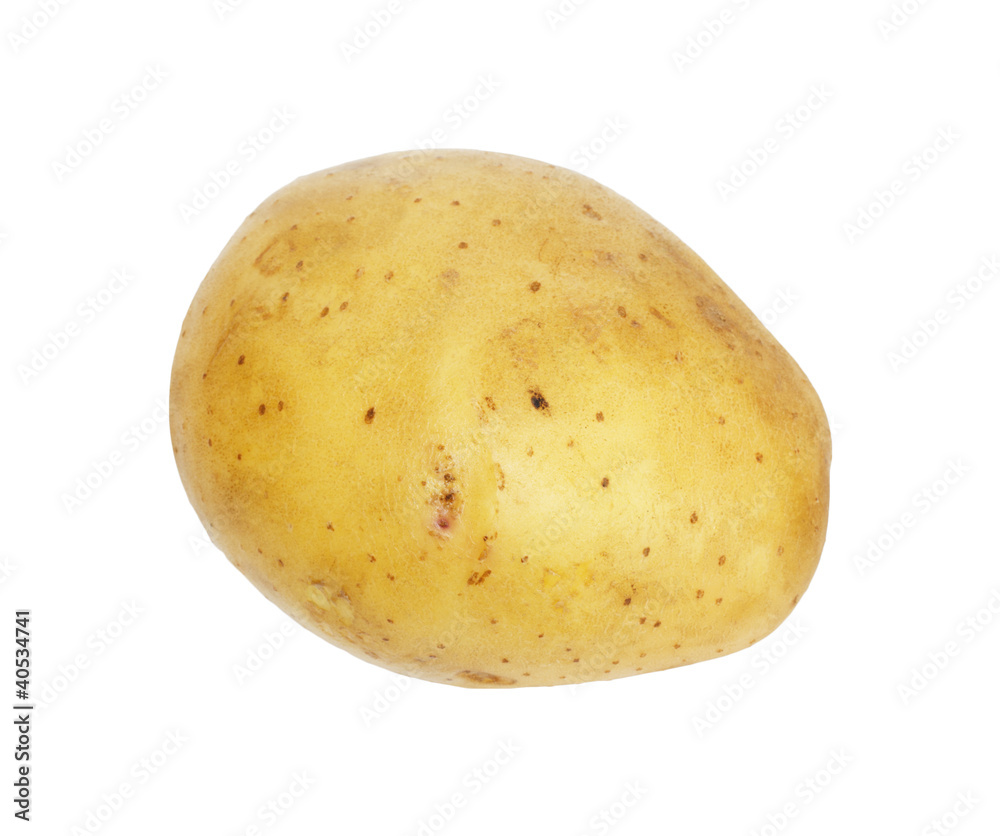 One potato isolated, object on white background One potato isolated, object on white background