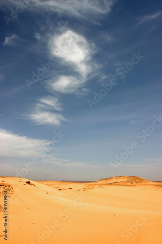 Libyan desert. © piccaya