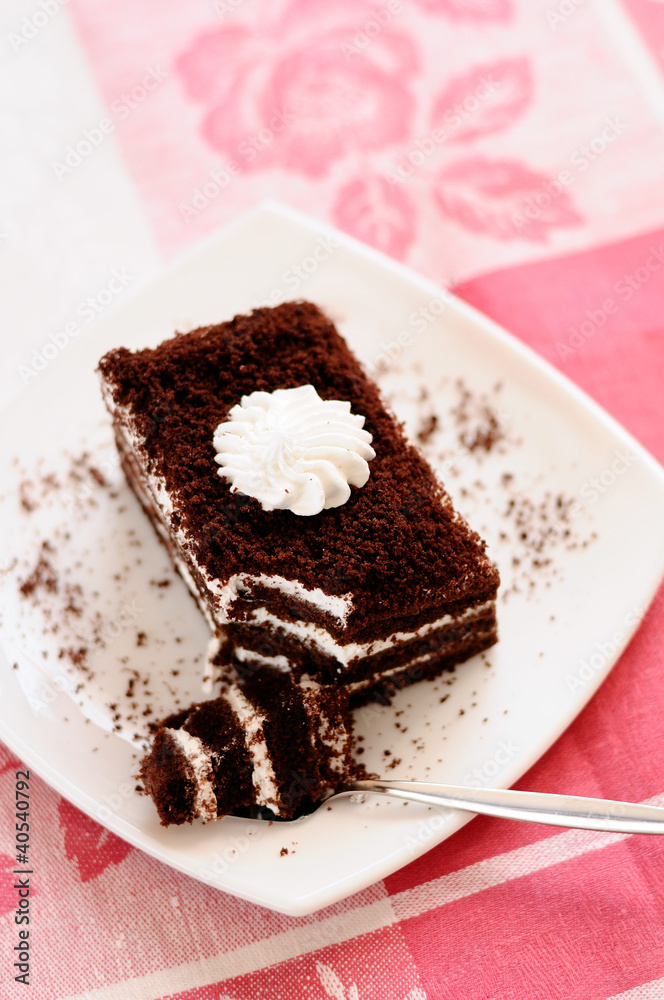 Delicious cake with dark chocolate
