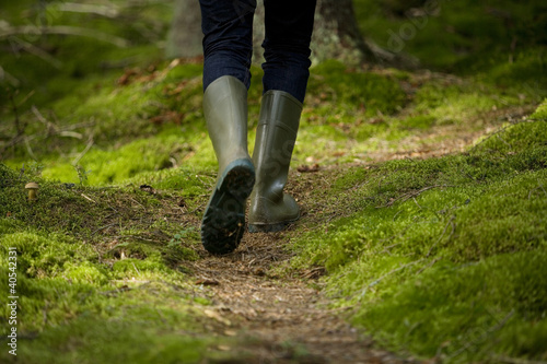 Walk in the Forest