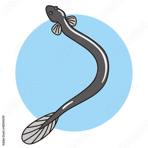 eel