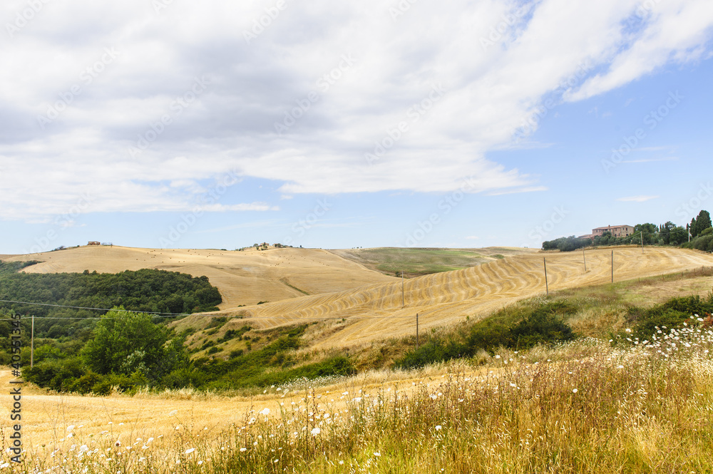 Landscape in Val d'Orcia (Tuscany)