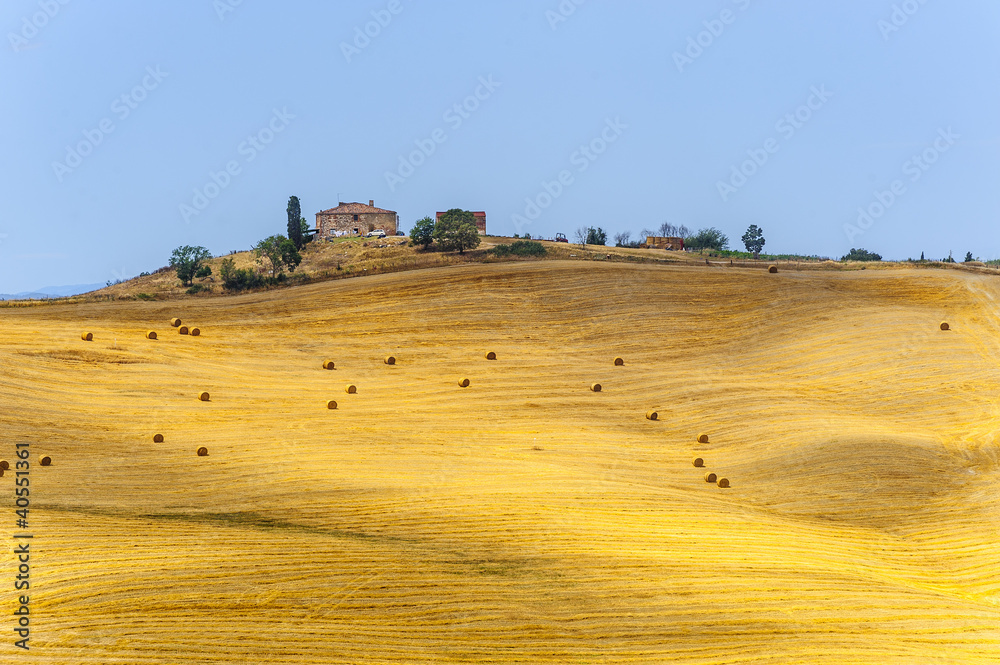 Farm in Val d'Orcia (Tuscany)