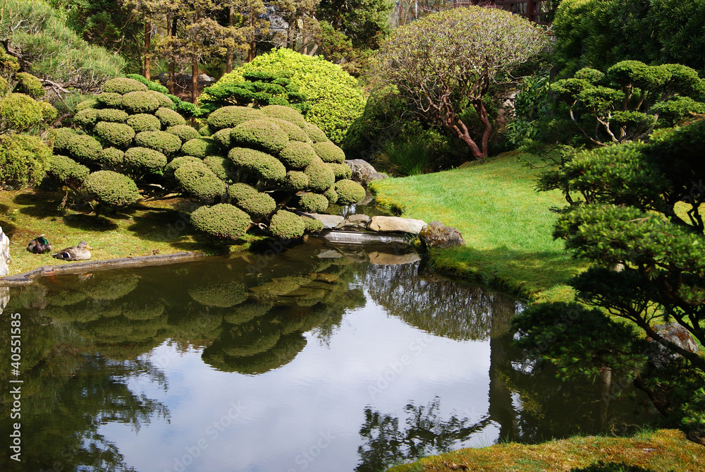 Fototapeta premium Japanese Garden # 2