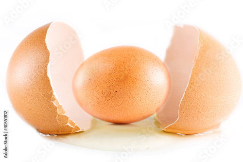 egg concept
