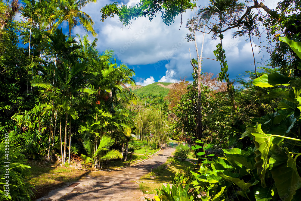 Soroa, a cuban touristic and natural attraction Soroa, a cuban touristic and natural attraction