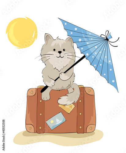 Cat in the vacation