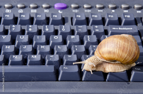 snail on black computer keyboard