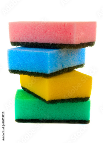 Sponges