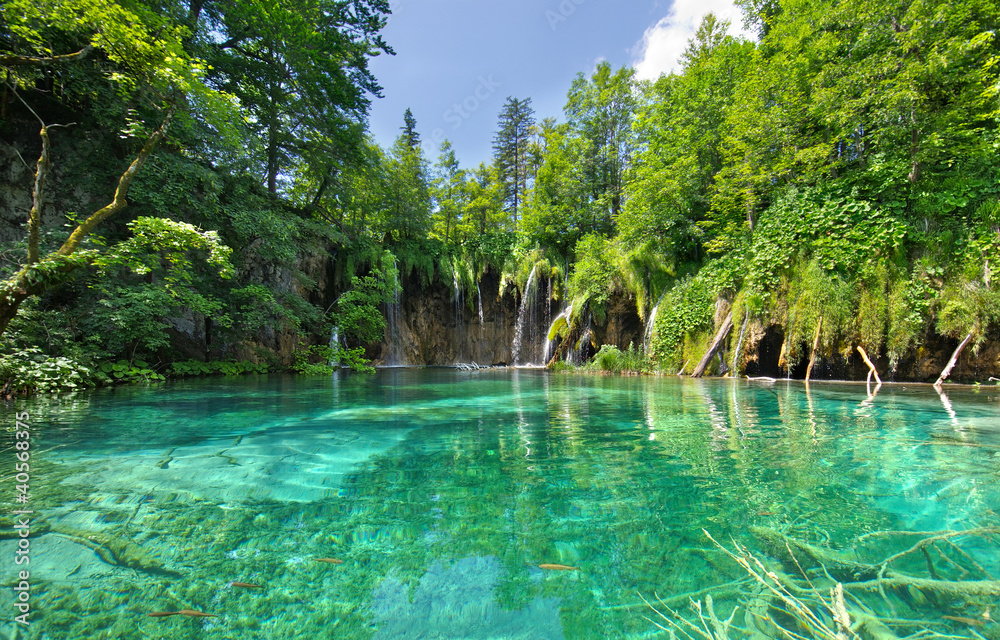 Naklejka premium Plitvice National Park