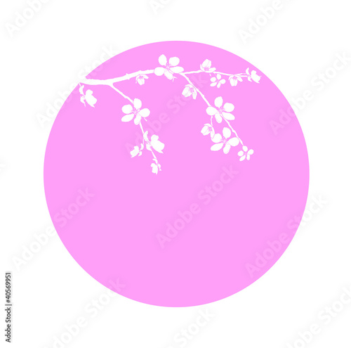 Branch of beautiful cherry blossom in circle