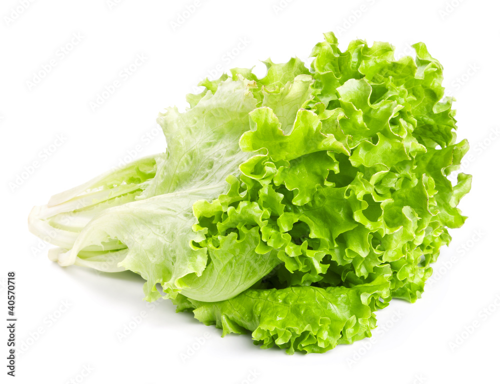 Fresh green lettuce leaves isolated on white Fresh green lettuce leaves isolated on white