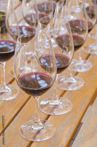 Obraz na płótnie Wine Tasting w salonie