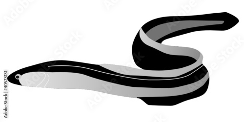 vector eel