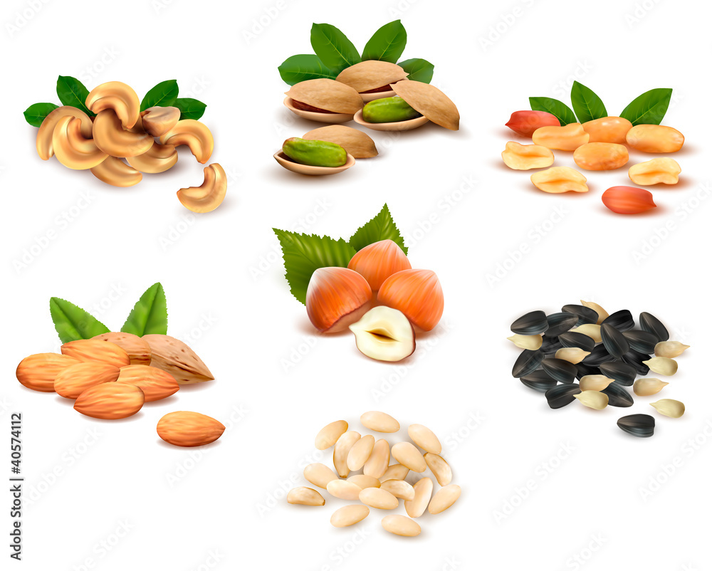 Big collection of ripe nuts. Vector. Big collection of ripe nuts. Vector.