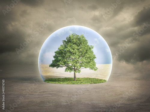Environmental protection concept - tree in a bubble © Mopic
