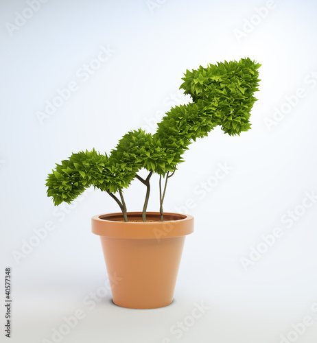 Potplant shaped like a graph