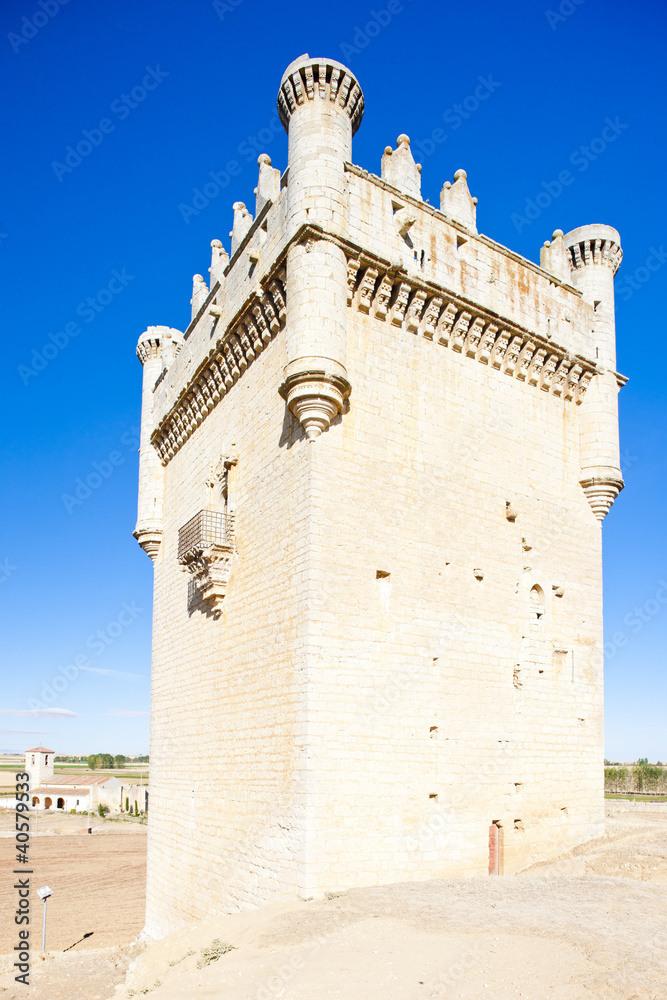 Castle of Belmonte de Campos, Castile and Leon, Spain