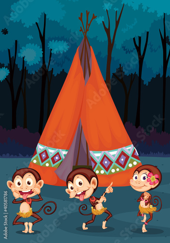 monkeys camping