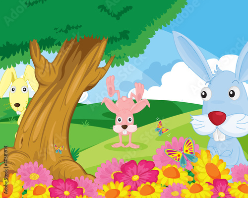 rabbits in park