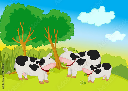cows