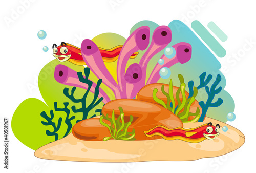 sea animals