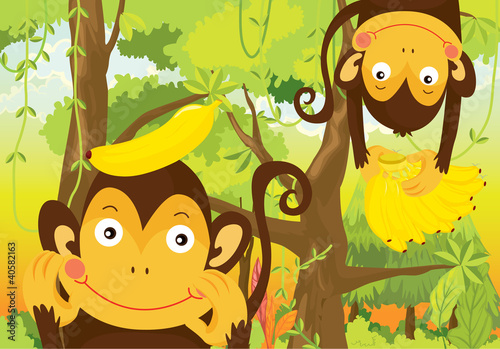 monkeys
