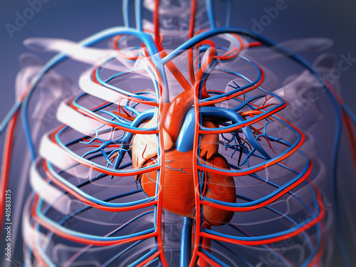 Fototapeta kuchenna heart