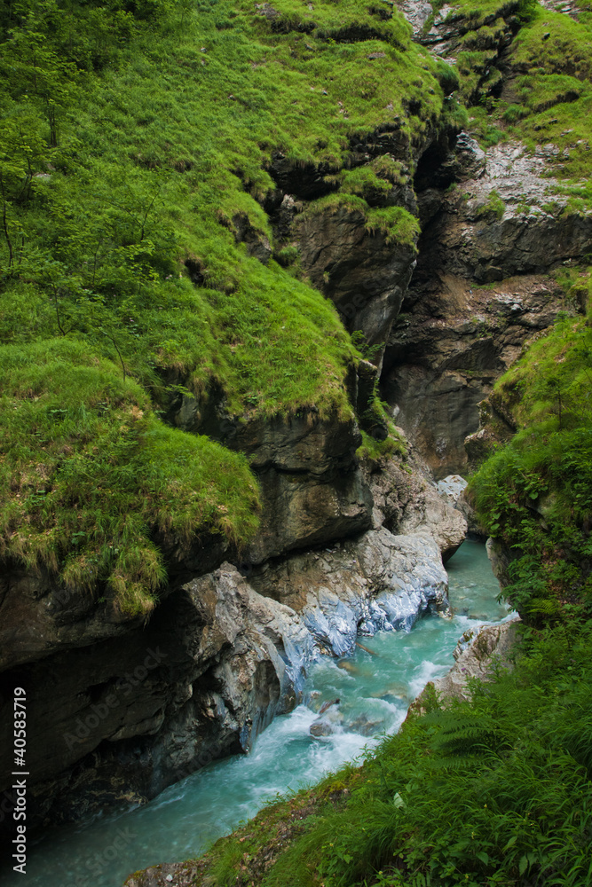 Canyon with green river Canyon with green river