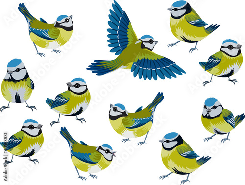 Flock of blue tits isolated over white background