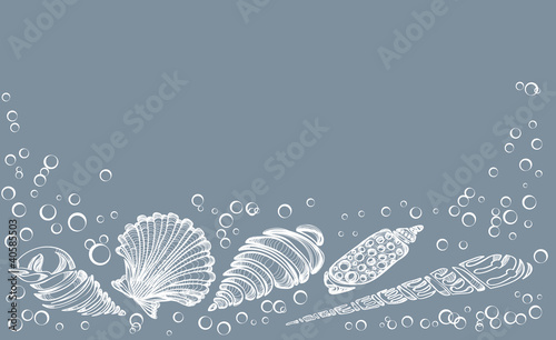 Hand Drawn background with see shell