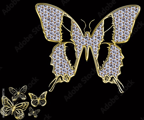 Ornamental Butterfly