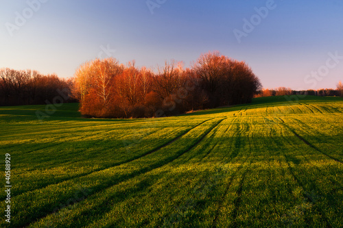 Fototapeta Naklejka Na Ścianę i Meble -  Fields with beautiful light