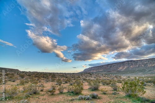 The Desert in Nevada - A Beautiful View