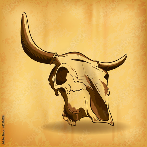 bull skull