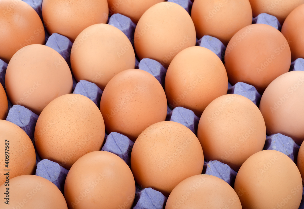 Tray of eggs in cardboard packing Tray of eggs in cardboard packing
