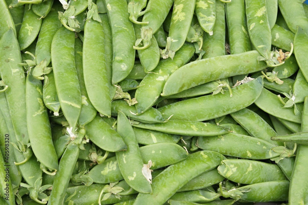 A lot of pea legumes