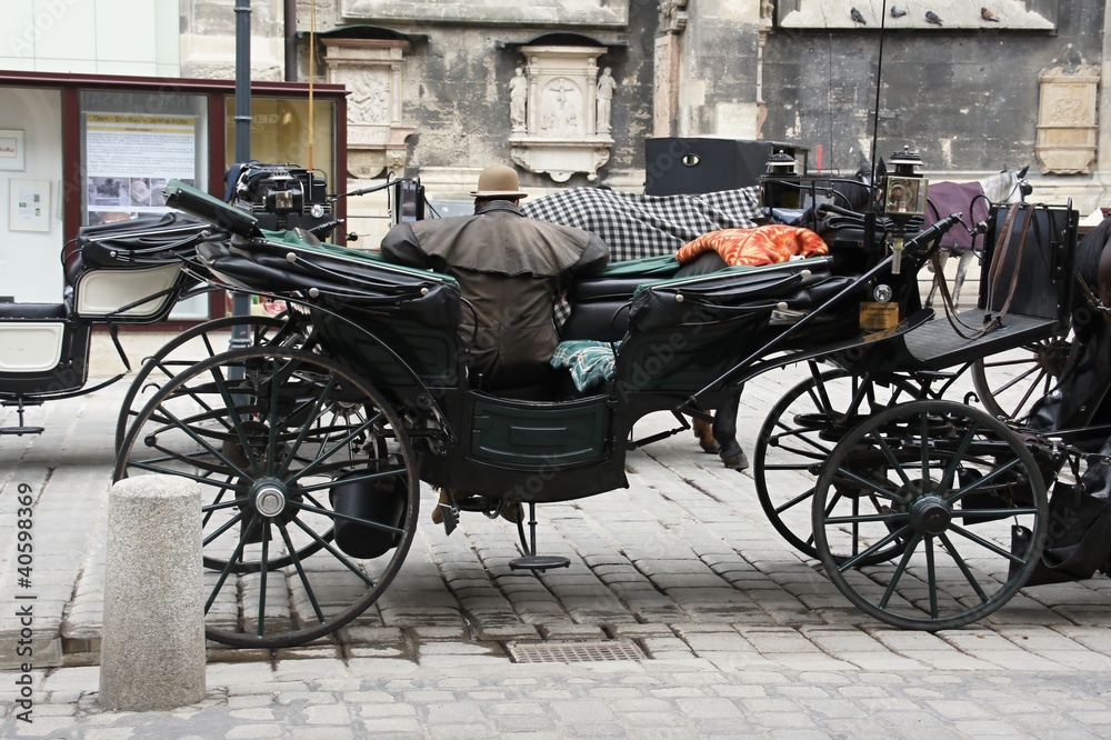 Carriage in front of St. Stephen's Cathedral, Vienna