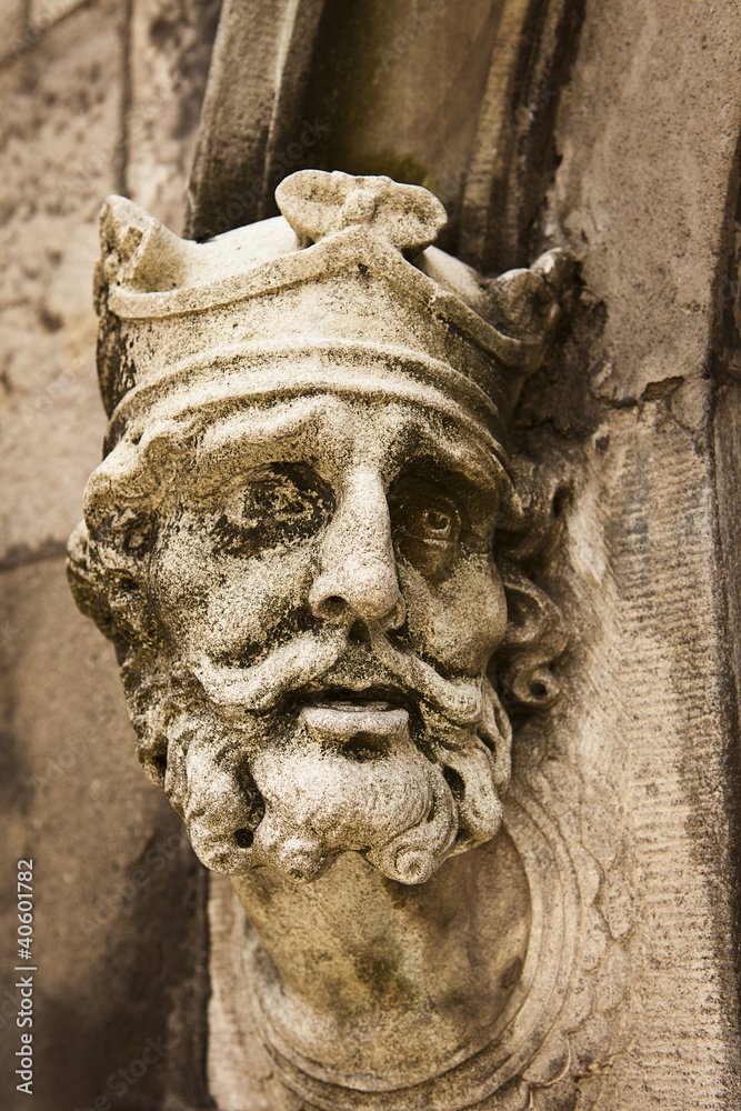 Obraz premium King Brian Boru