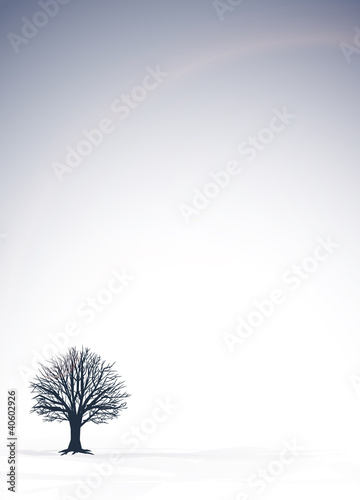 tree