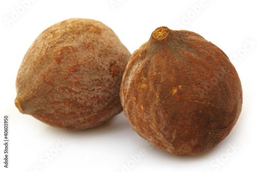 Terminalia bellericais or medicinal Bahera fruits of India photo