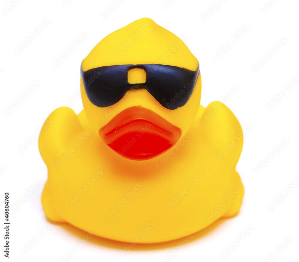 Duck with sunglasses HD wallpapers | Pxfuel