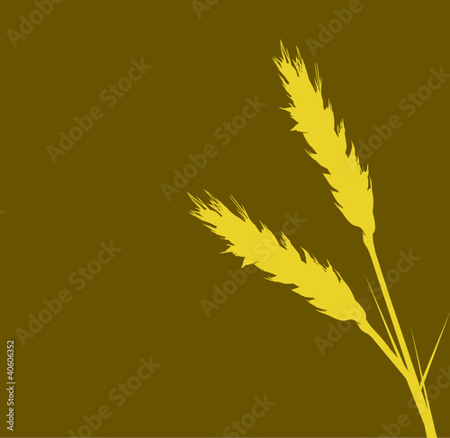 gold wheat illusration