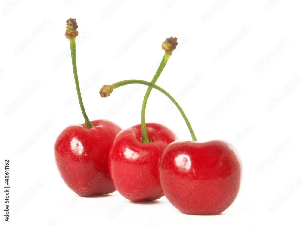Cerezas frescas en fondo blanco. Cerezas frescas en fondo blanco.