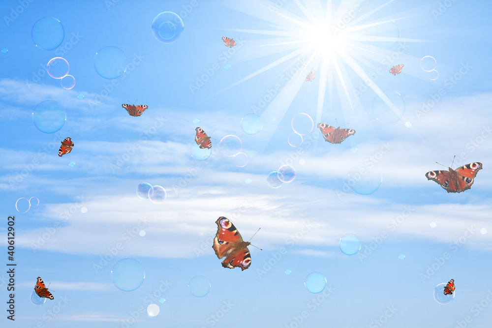 Schmetterlinge & Seifenblasen Stock Photo Adobe Stock