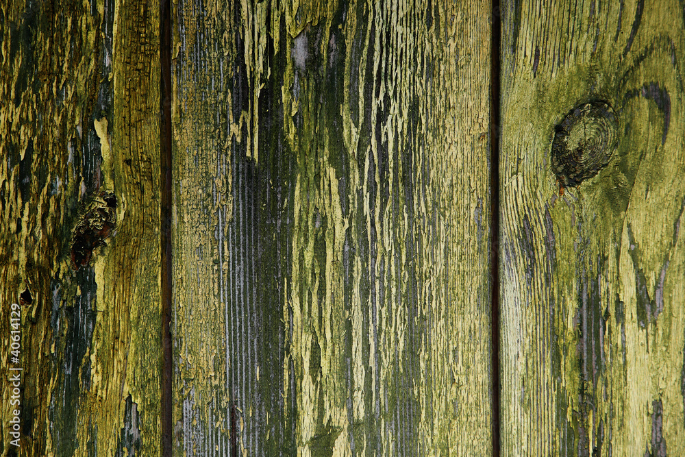 Obraz premium Wood texture with natural patterns