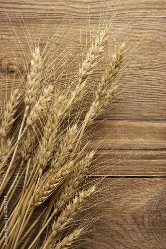 wheat on the wood background