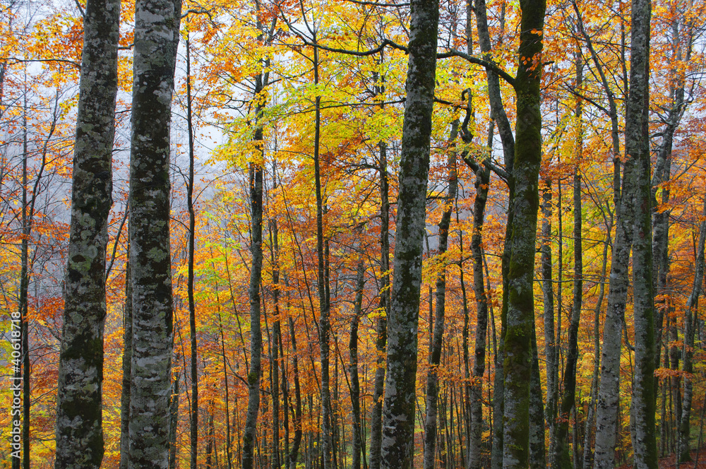 Otoño