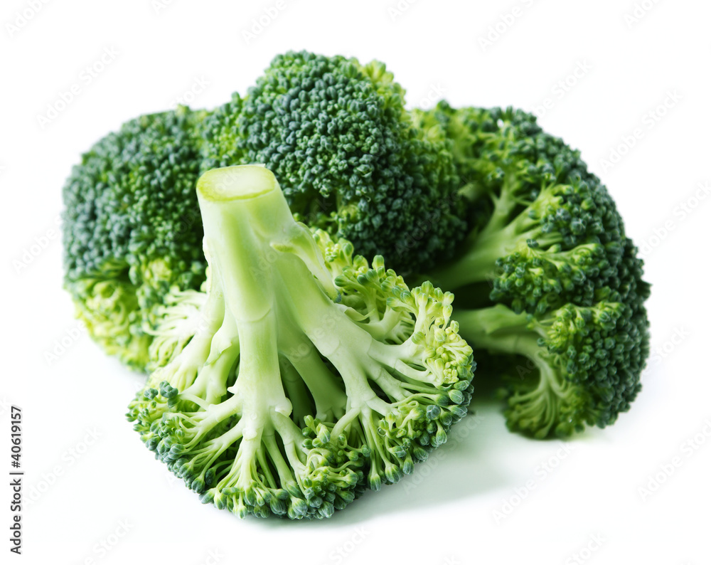 Broccoli on White Background Broccoli on White Background